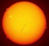 Sonnenprotuberanzen im Halpha-Licht