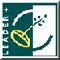 LEADER+ Online